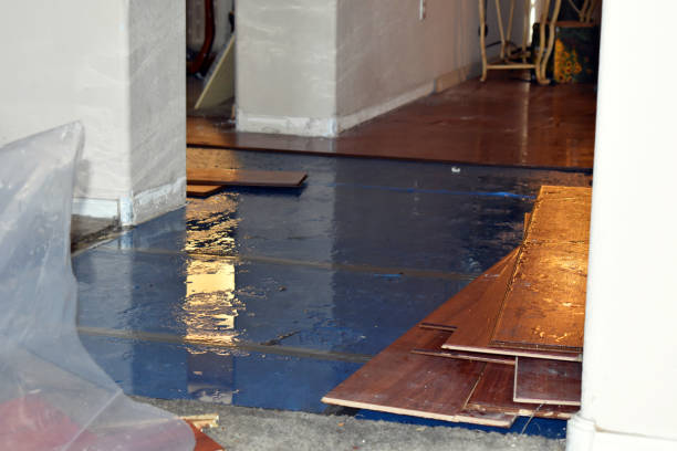 Professional Water Damage Restoration technician working in Shirley Mills, ME